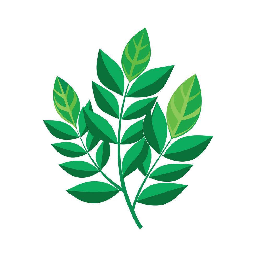 Realistic Beautiful Leaves Illustration vector