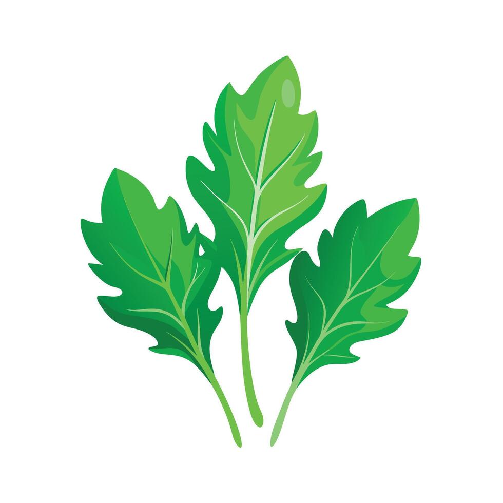 Realistic Beautiful Leaves Illustration vector