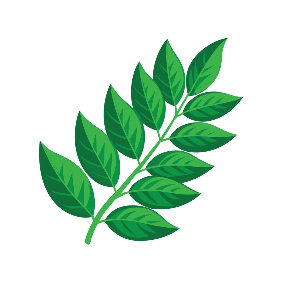 Realistic Beautiful Leaves Illustration vector