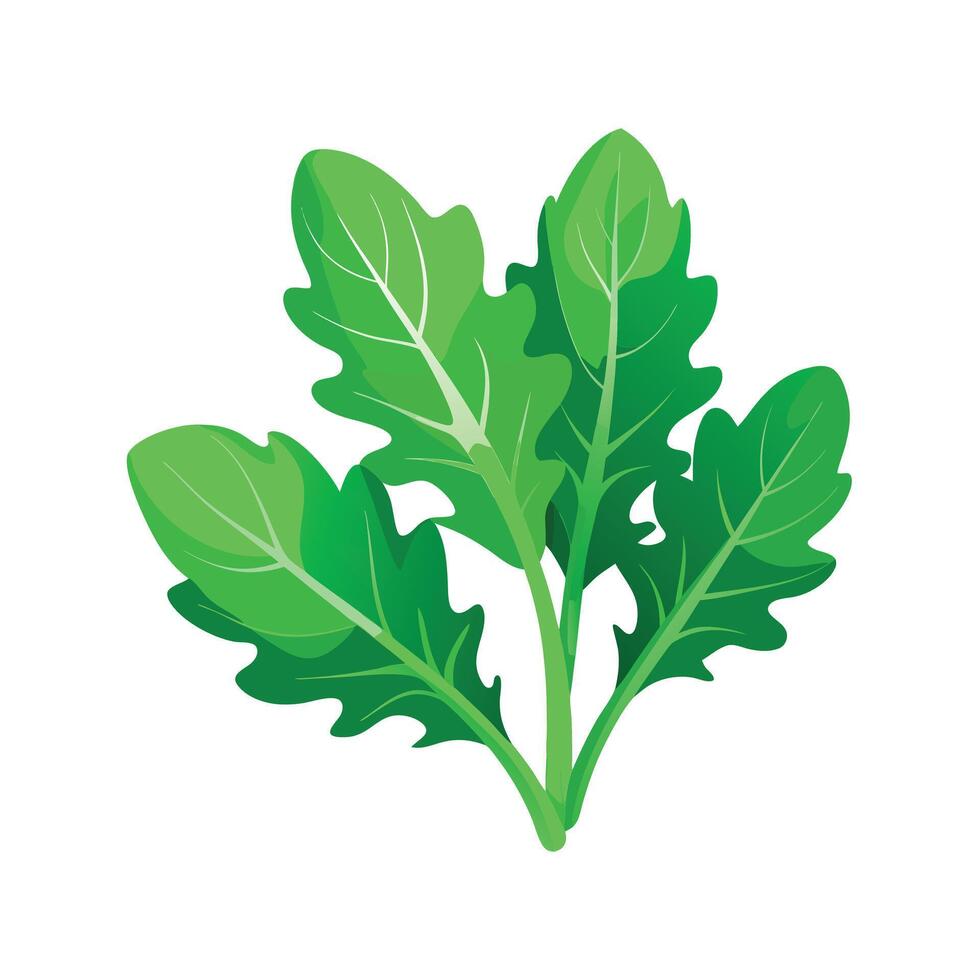 Realistic Beautiful Leaves Illustration vector