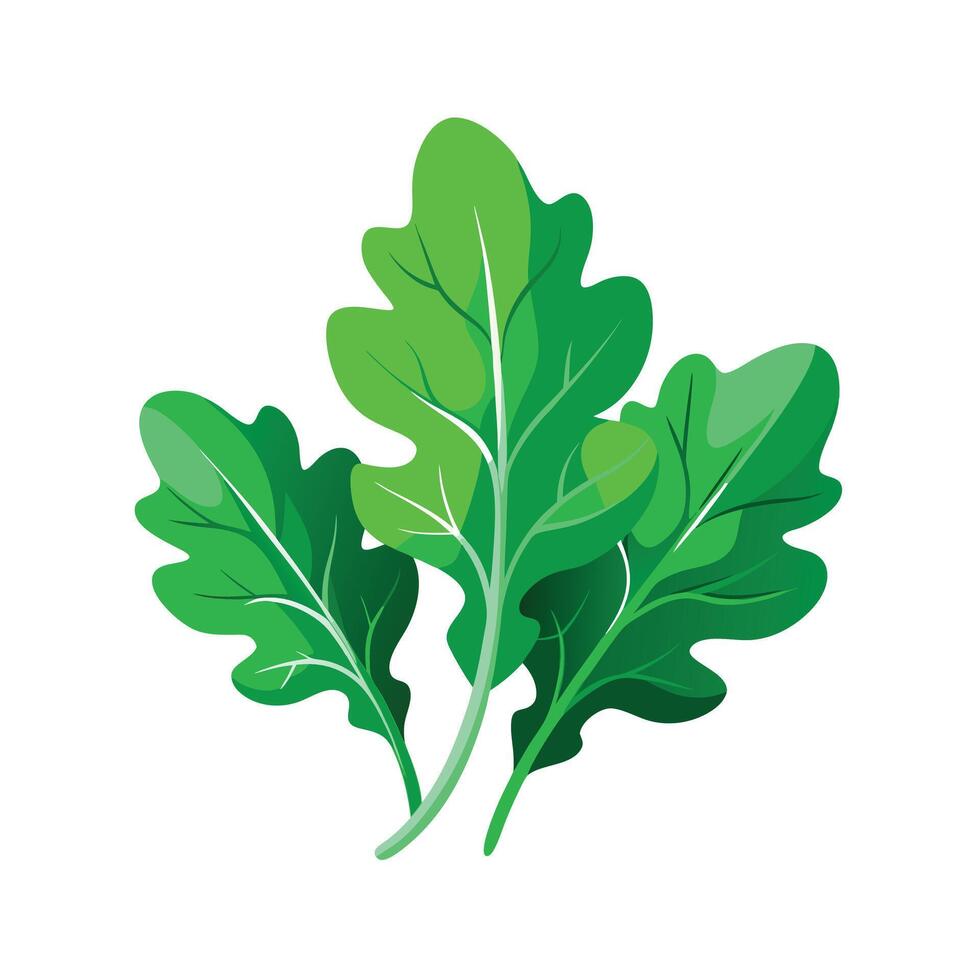 Realistic Beautiful Leaves Illustration vector