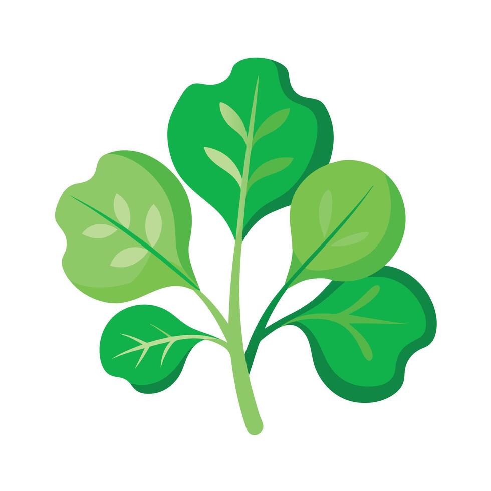 Realistic Beautiful Leaves Illustration vector