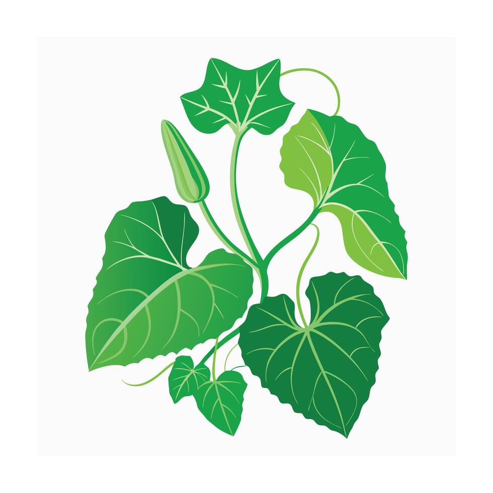Realistic Beautiful Leaves Illustration vector