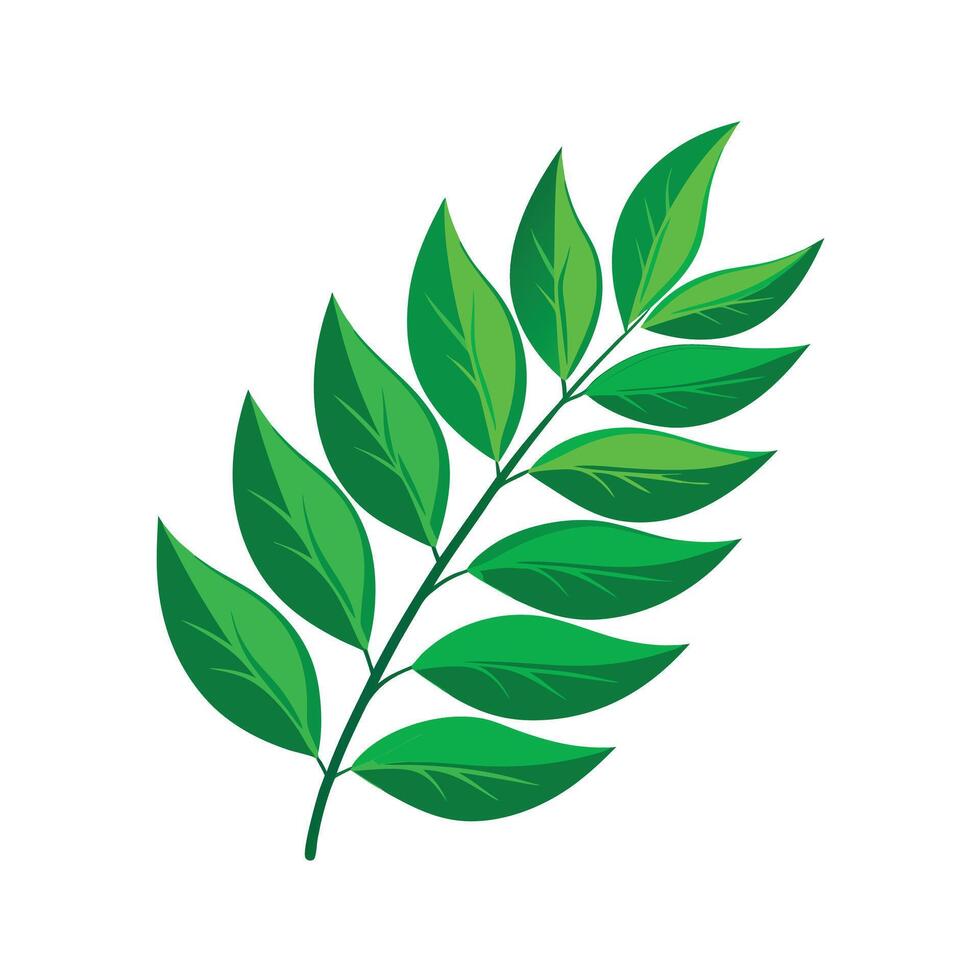 Realistic Beautiful Leaves Illustration vector