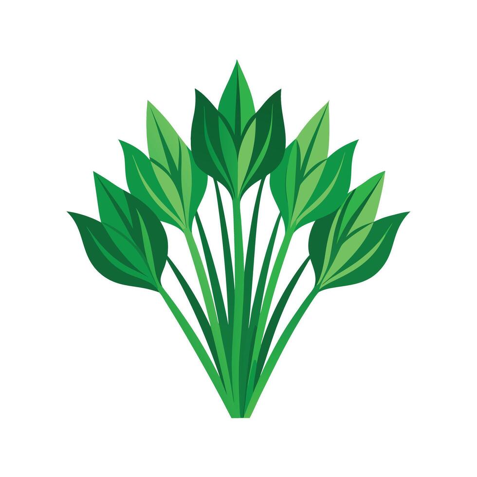 Realistic Beautiful Leaves Illustration vector