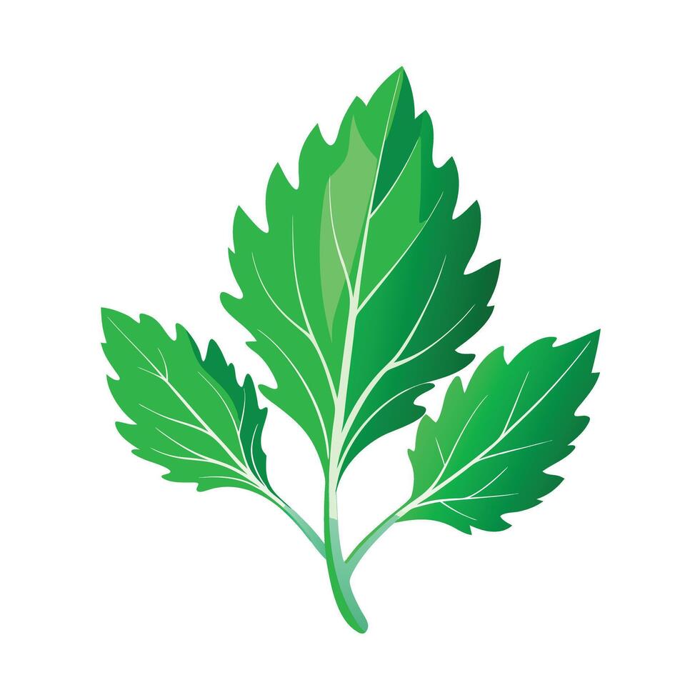 Realistic Beautiful Leaves Illustration vector