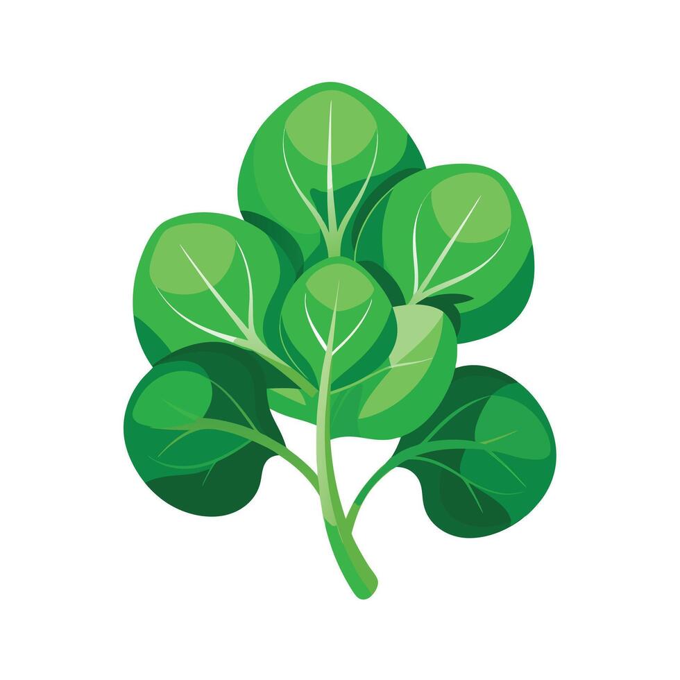 Realistic Beautiful Leaves Illustration vector