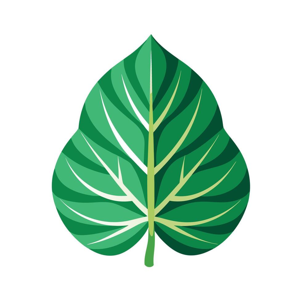 Realistic Beautiful Leaves Illustration vector