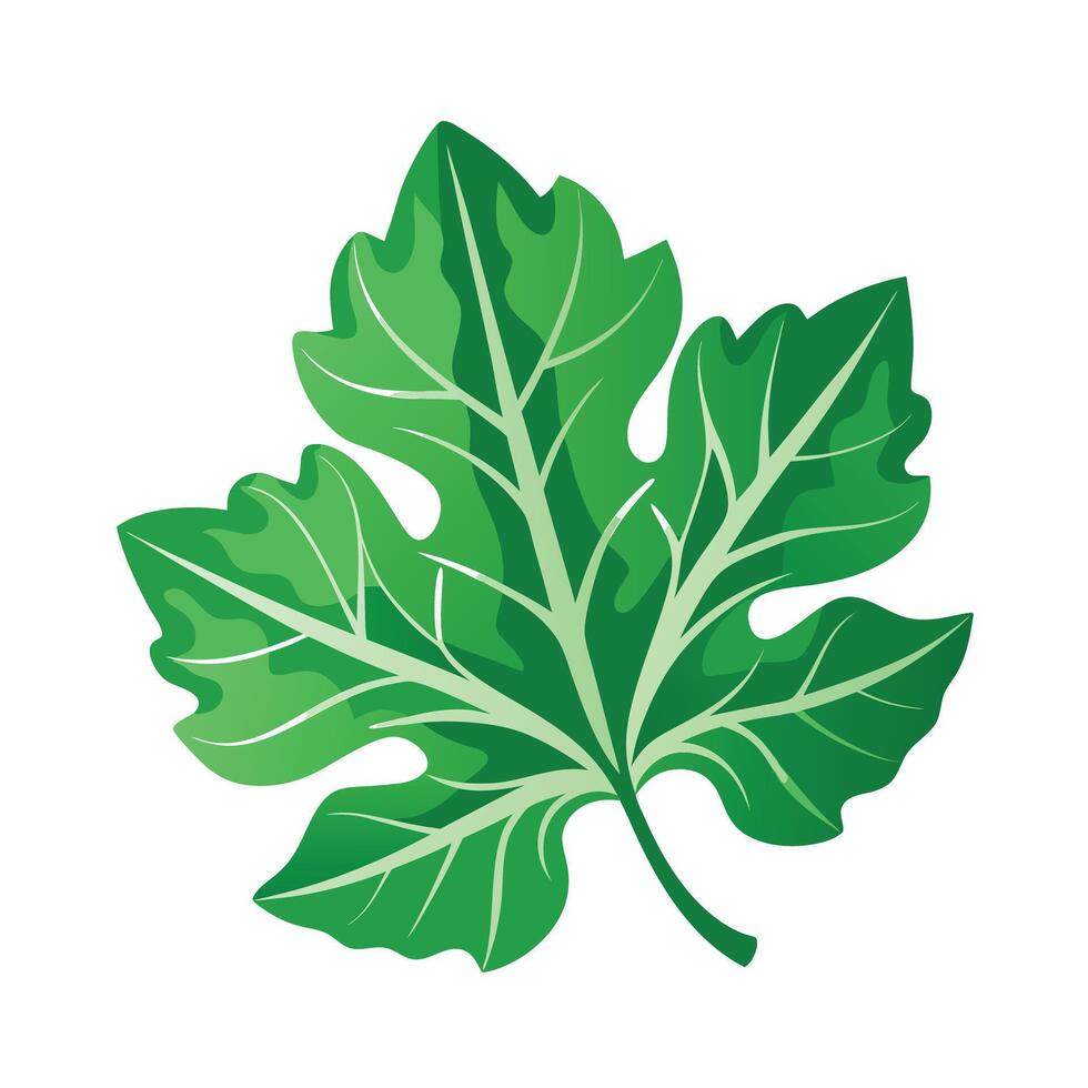Realistic Beautiful Leaves Illustration vector