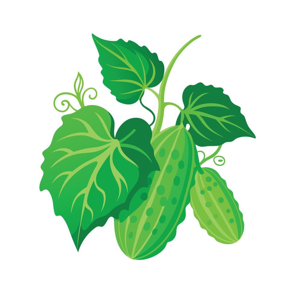 Realistic Beautiful Leaves Illustration vector
