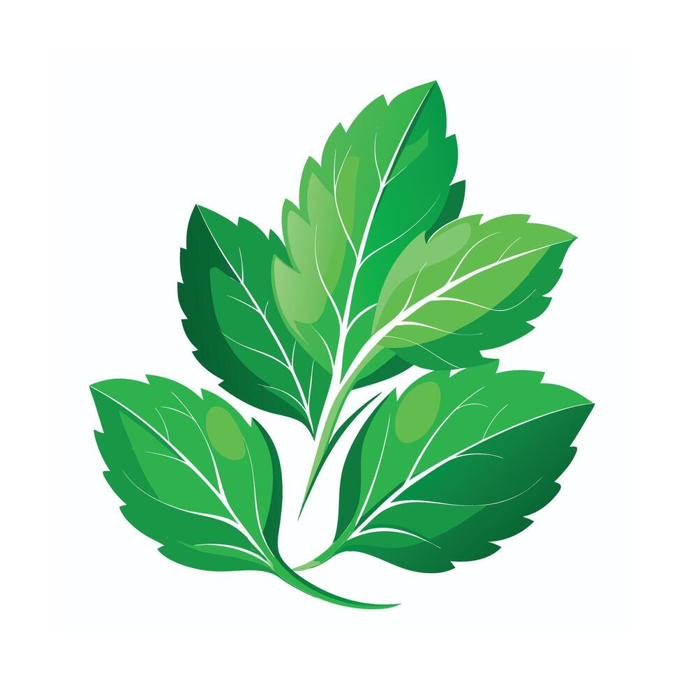 Realistic Beautiful Leaves Illustration vector