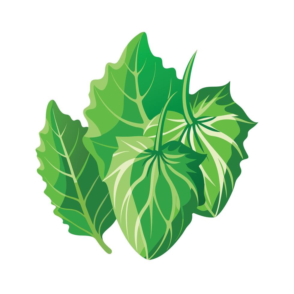 Realistic Beautiful Leaves Illustration vector