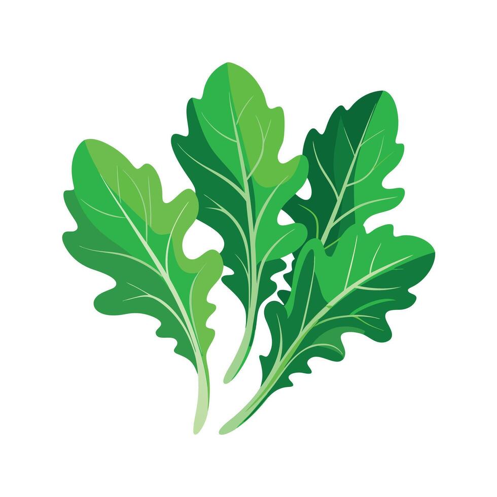 Realistic Beautiful Leaves Illustration vector