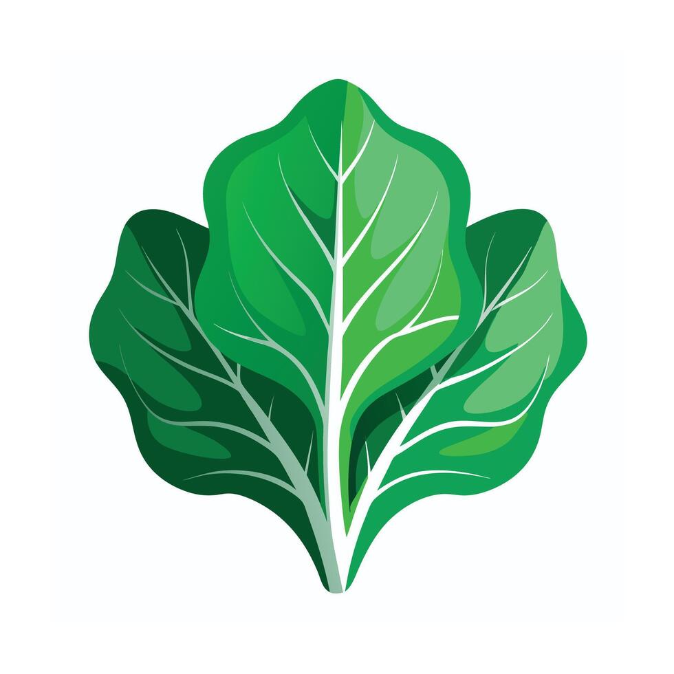 Realistic Beautiful Leaves Illustration vector