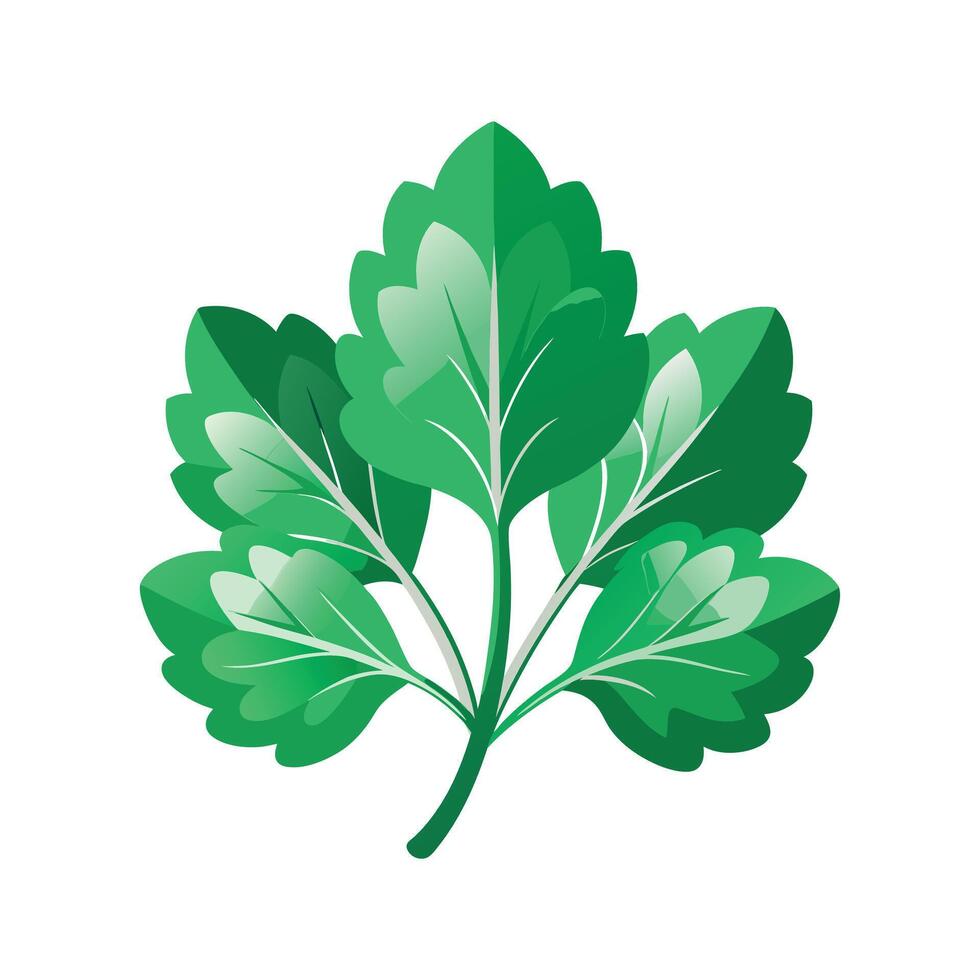 Realistic Beautiful Leaves Illustration vector