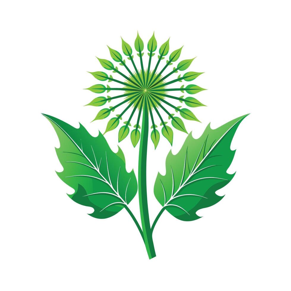 Realistic Beautiful Leaves Illustration vector