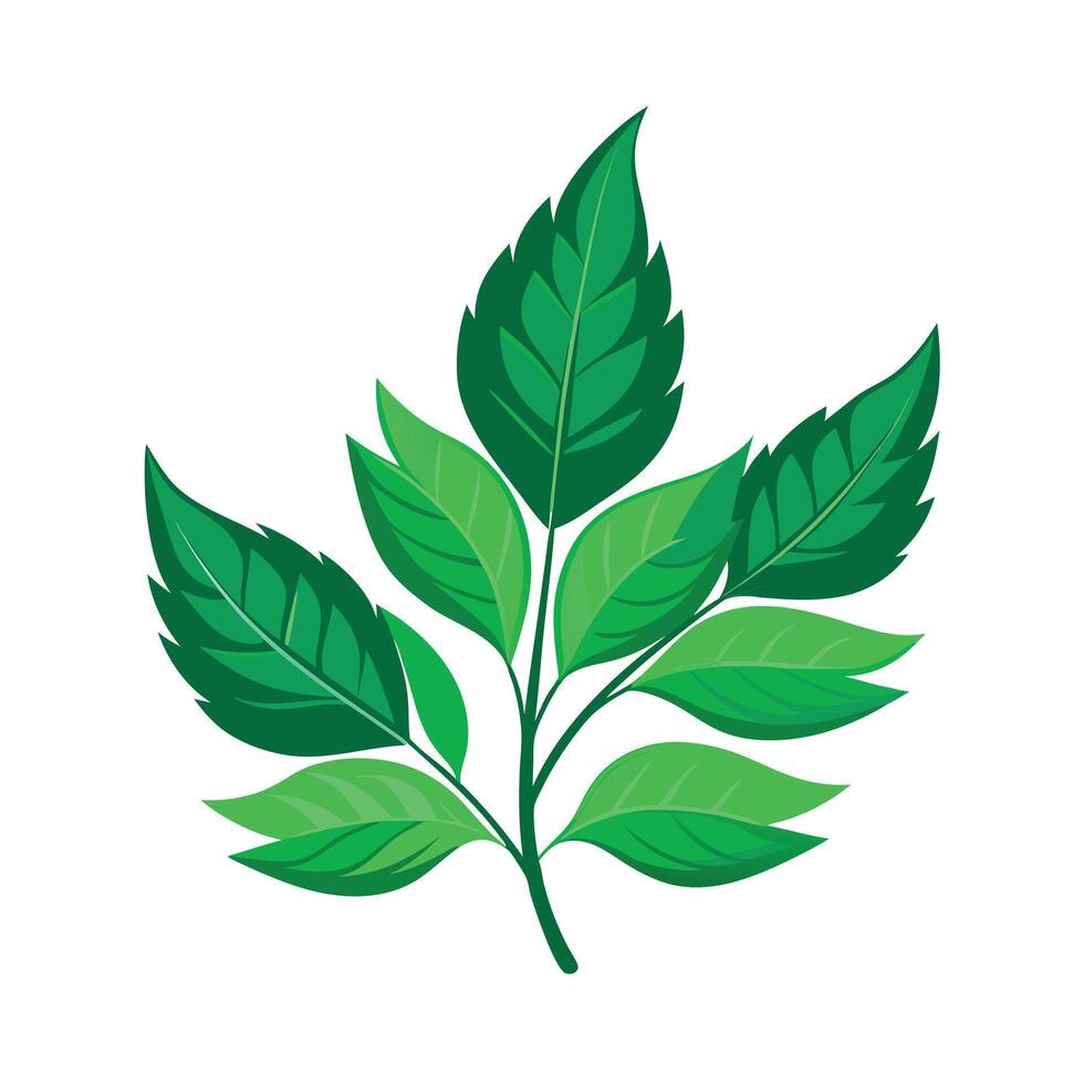 Realistic Beautiful Leaves Illustration vector