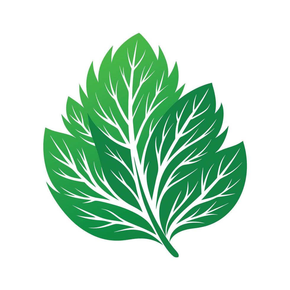 Realistic Beautiful Leaves Illustration vector