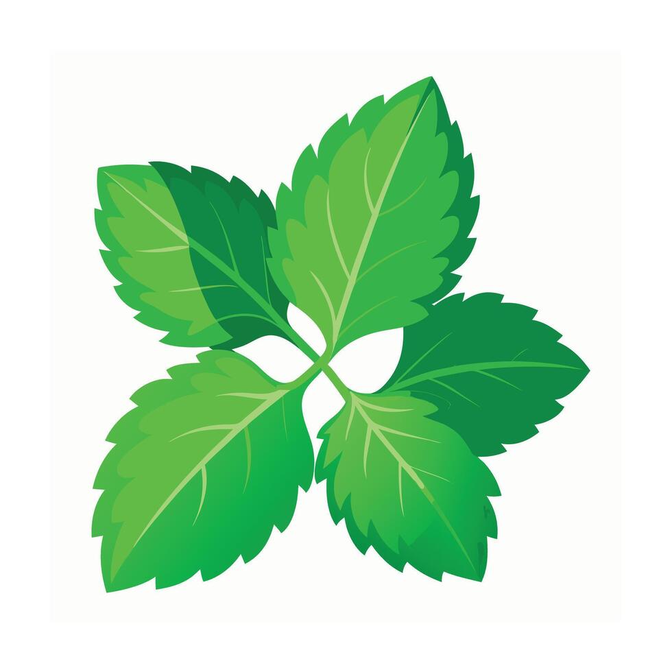 Realistic Beautiful Leaves Illustration vector