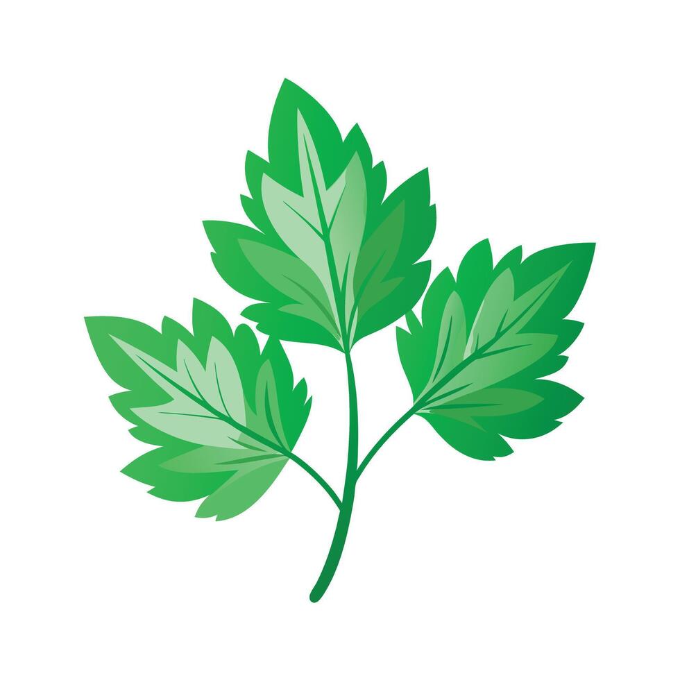 Realistic Beautiful Leaves Illustration vector
