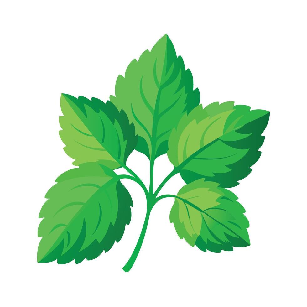 Realistic Beautiful Leaves Illustration vector