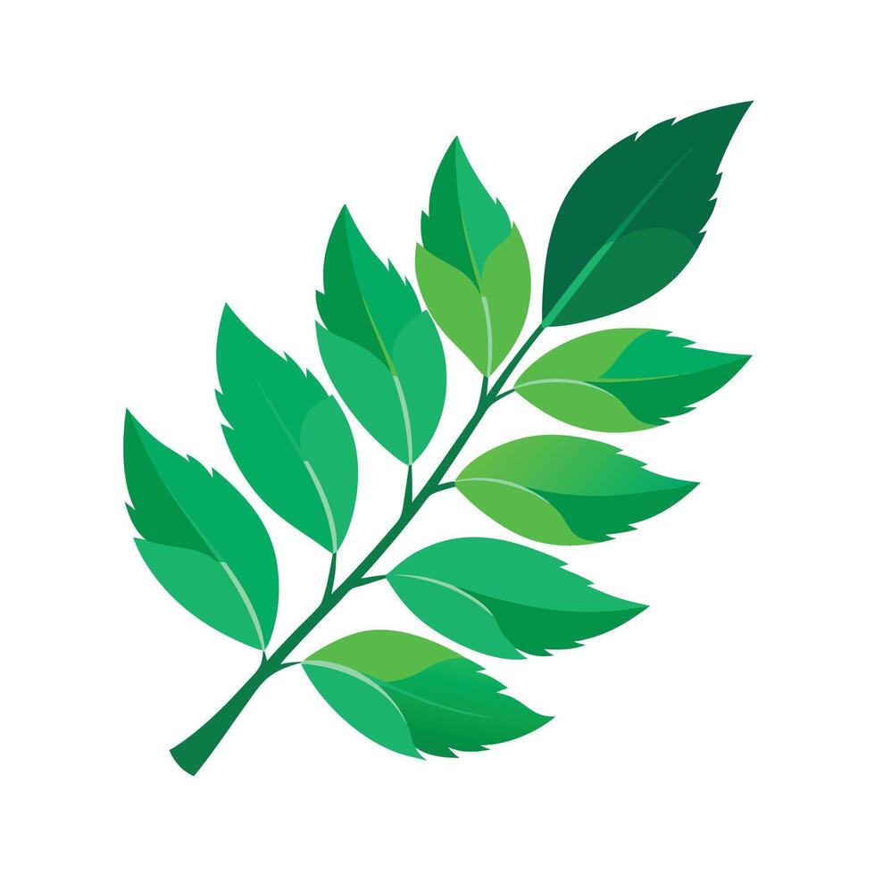 Realistic Beautiful Leaves Illustration vector