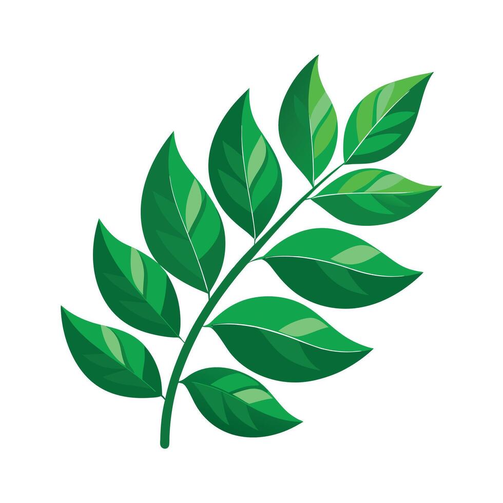 Realistic Beautiful Leaves Illustration vector