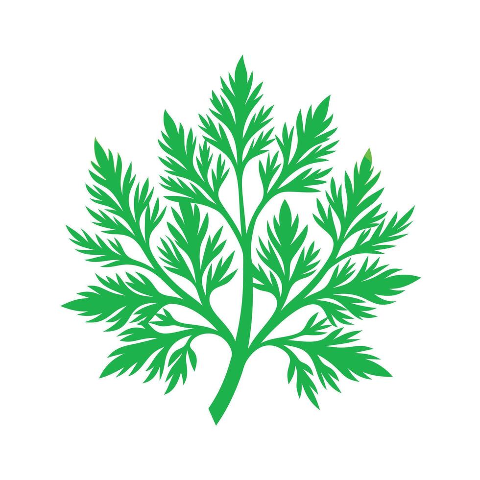 Realistic Beautiful Leaves Illustration vector