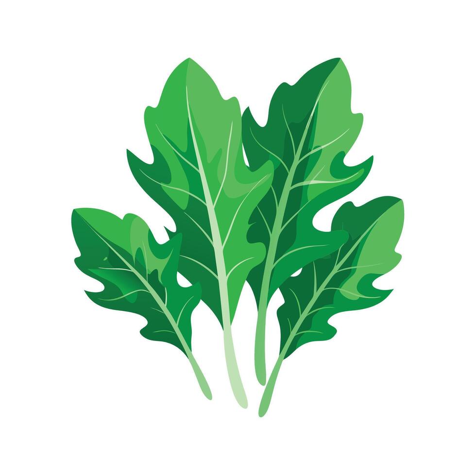 Realistic Beautiful Leaves Illustration vector