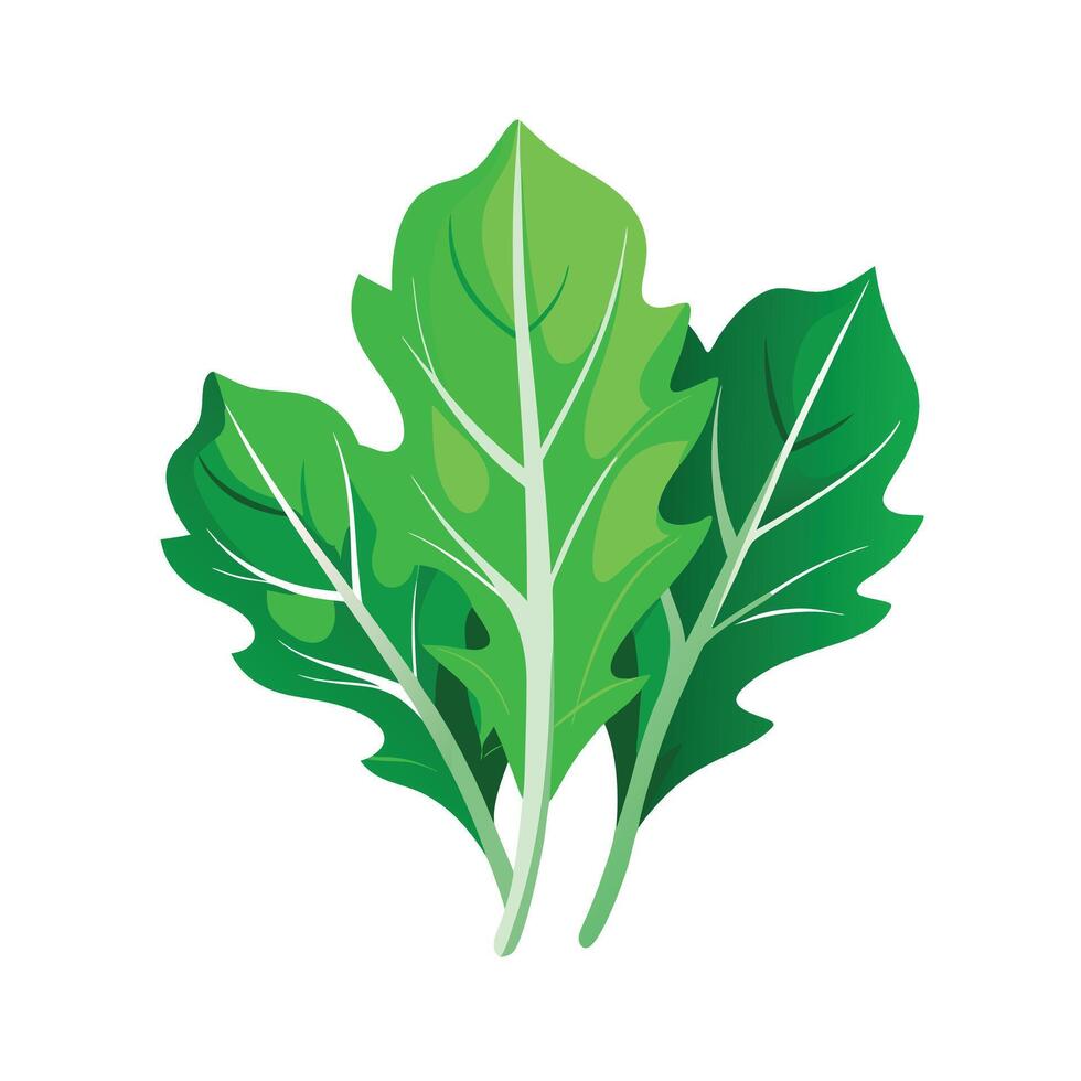Realistic Beautiful Leaves Illustration vector