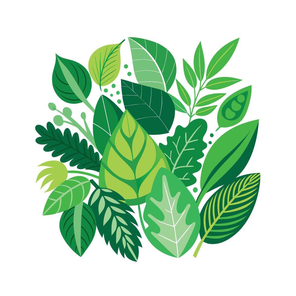 Realistic Beautiful Leaves Illustration vector
