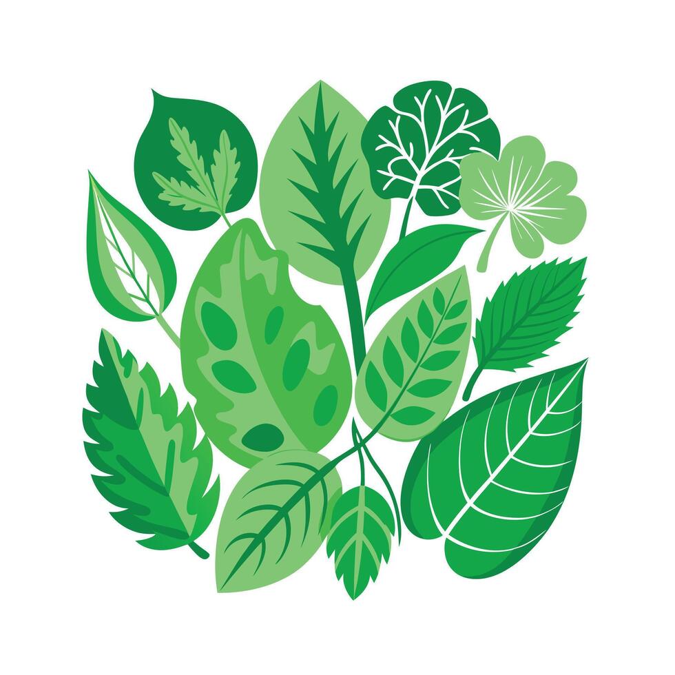Realistic Beautiful Leaves Illustration vector