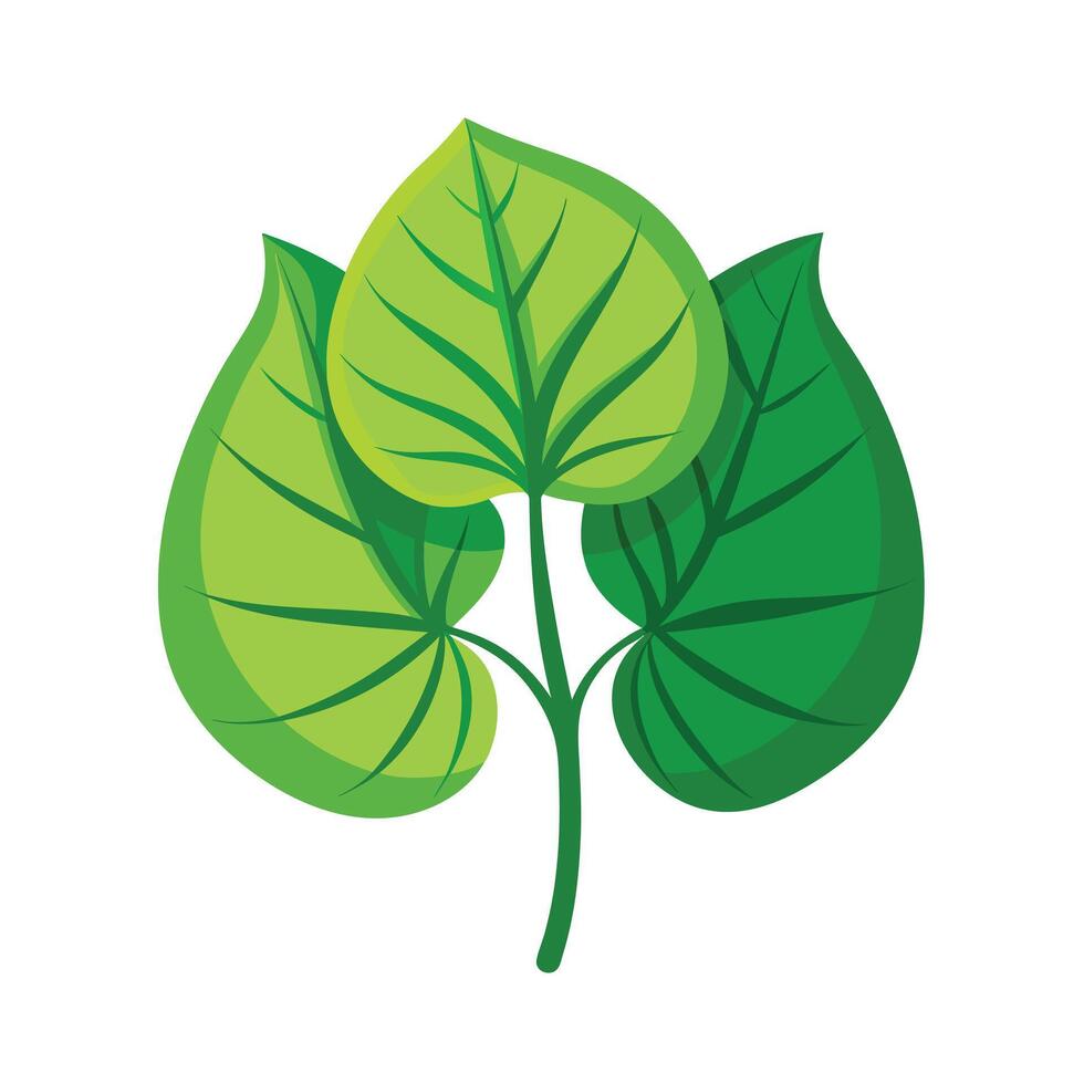 Realistic Beautiful Leaves Illustration vector