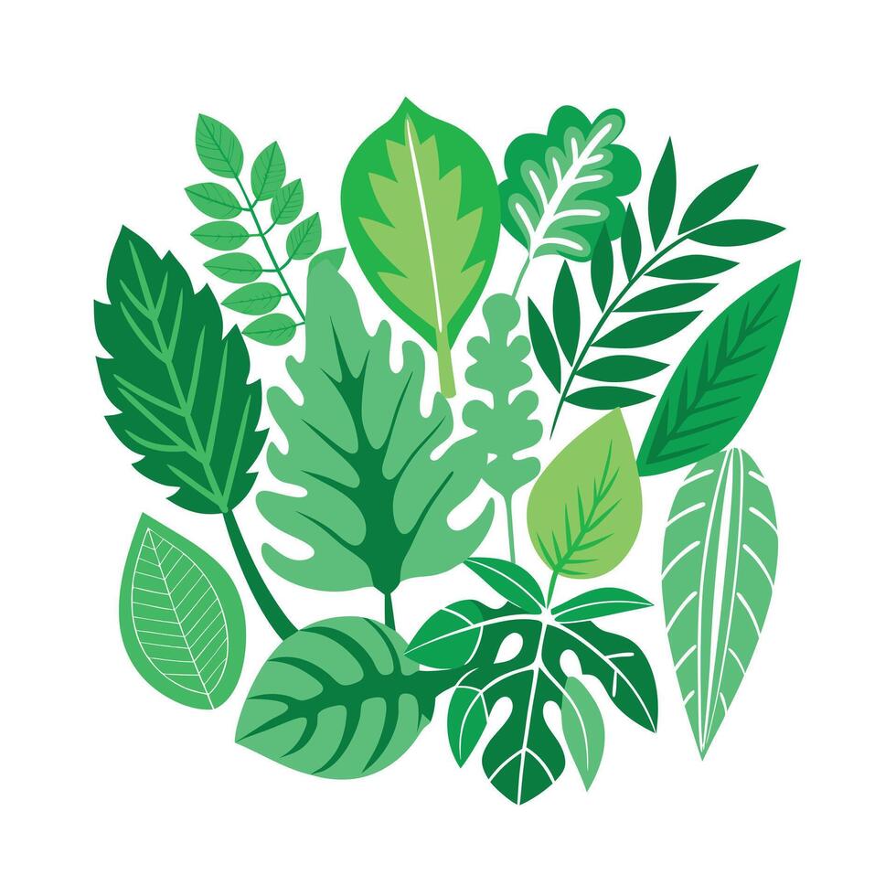 Realistic Beautiful Leaves Illustration vector
