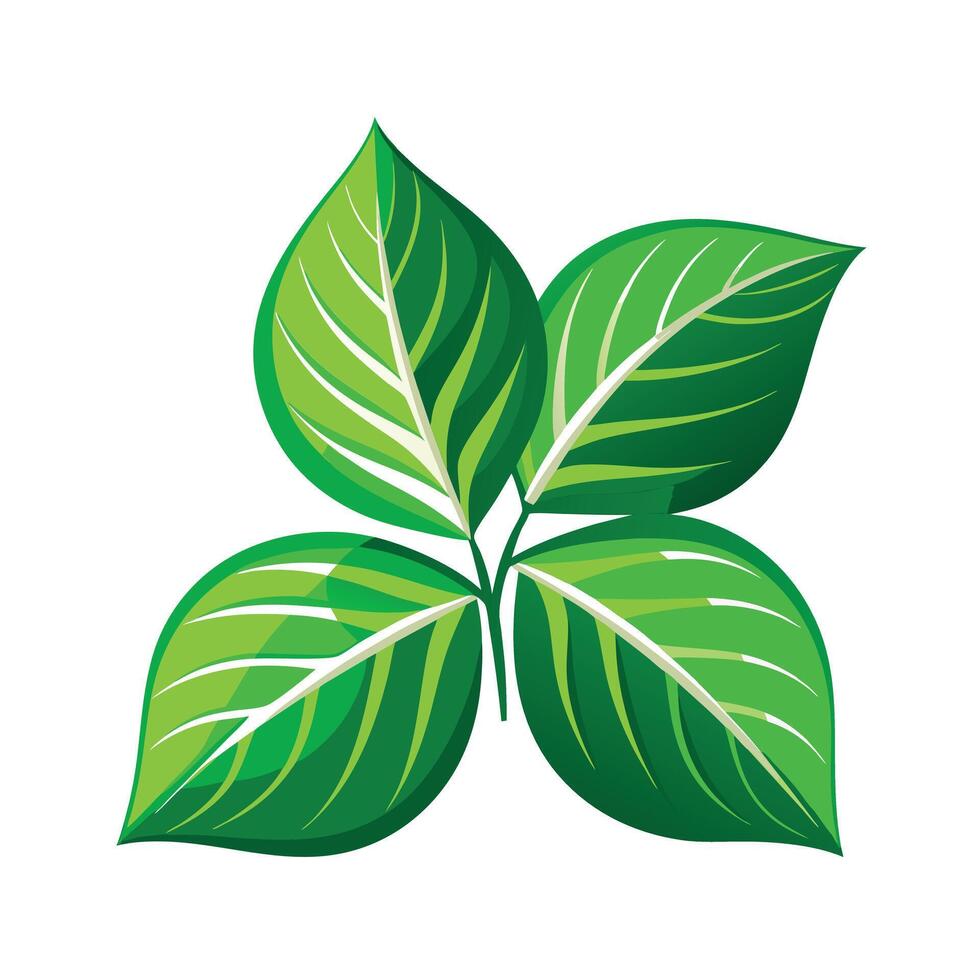 Realistic Beautiful Leaves Illustration vector