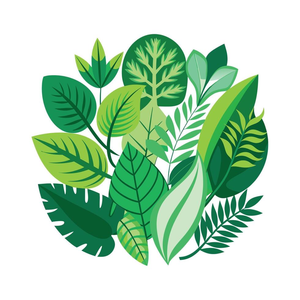 Realistic Beautiful Leaves Illustration vector