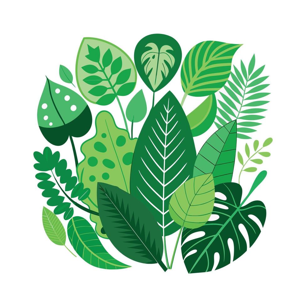 Realistic Beautiful Leaves Illustration vector