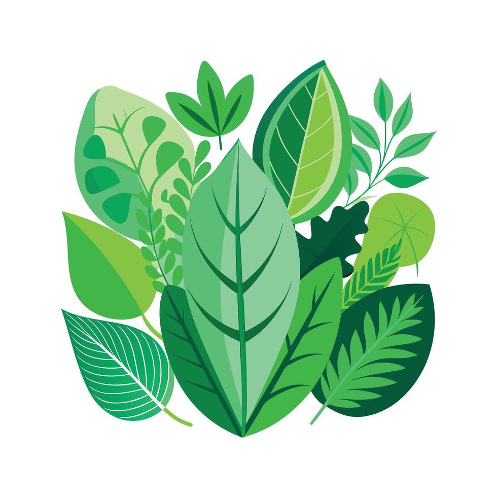 Realistic Beautiful Leaves Illustration vector