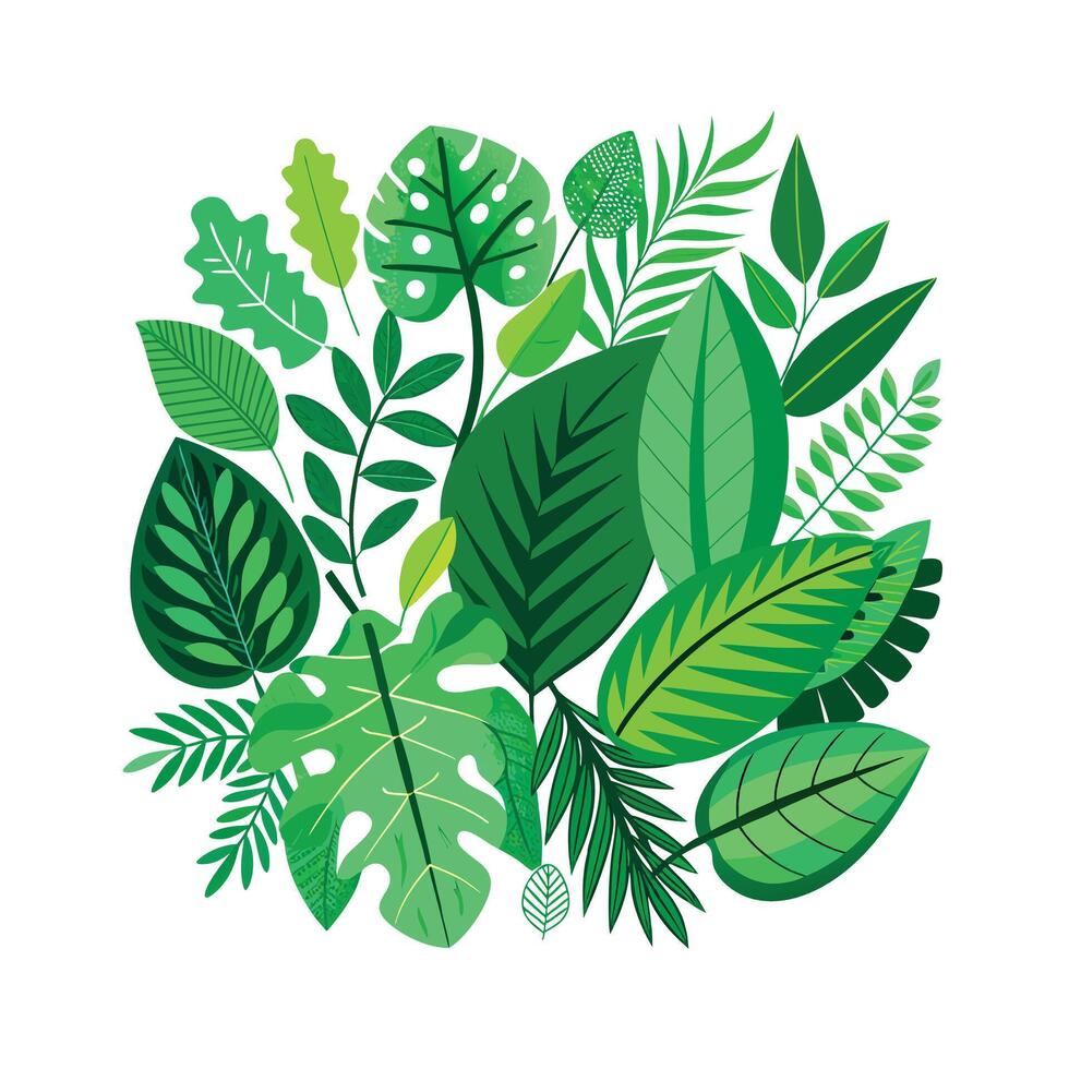 Realistic Beautiful Leaves Illustration vector