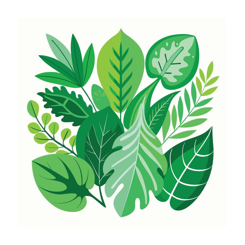 Realistic Beautiful Leaves Illustration vector