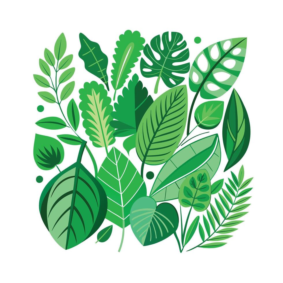 Realistic Beautiful Leaves Illustration vector