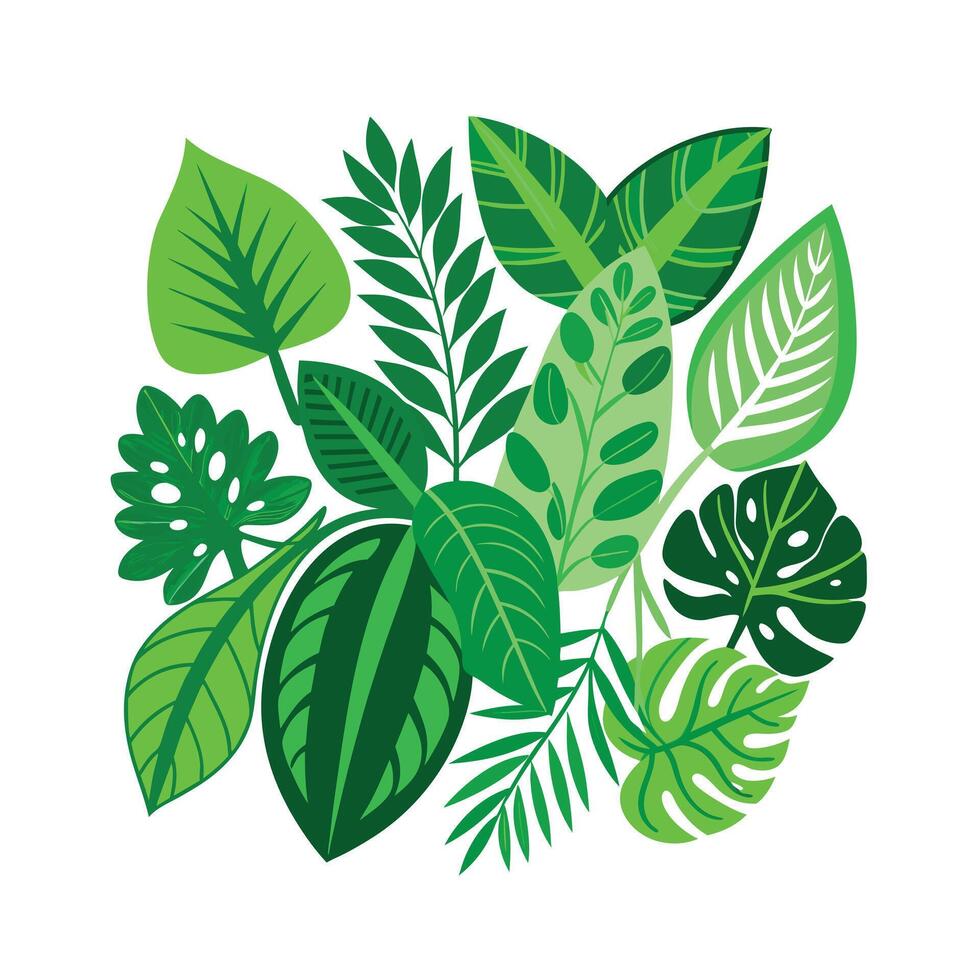 Realistic Beautiful Leaves Illustration vector