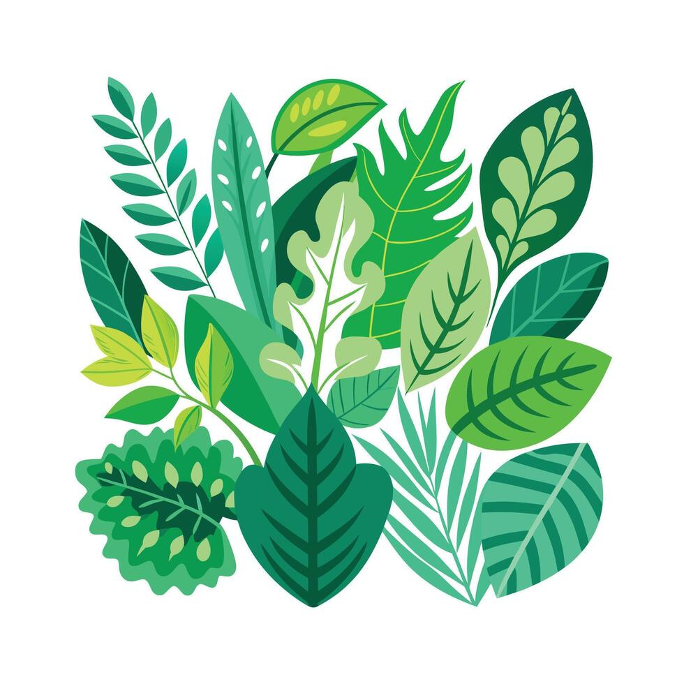 Realistic Beautiful Leaves Illustration vector
