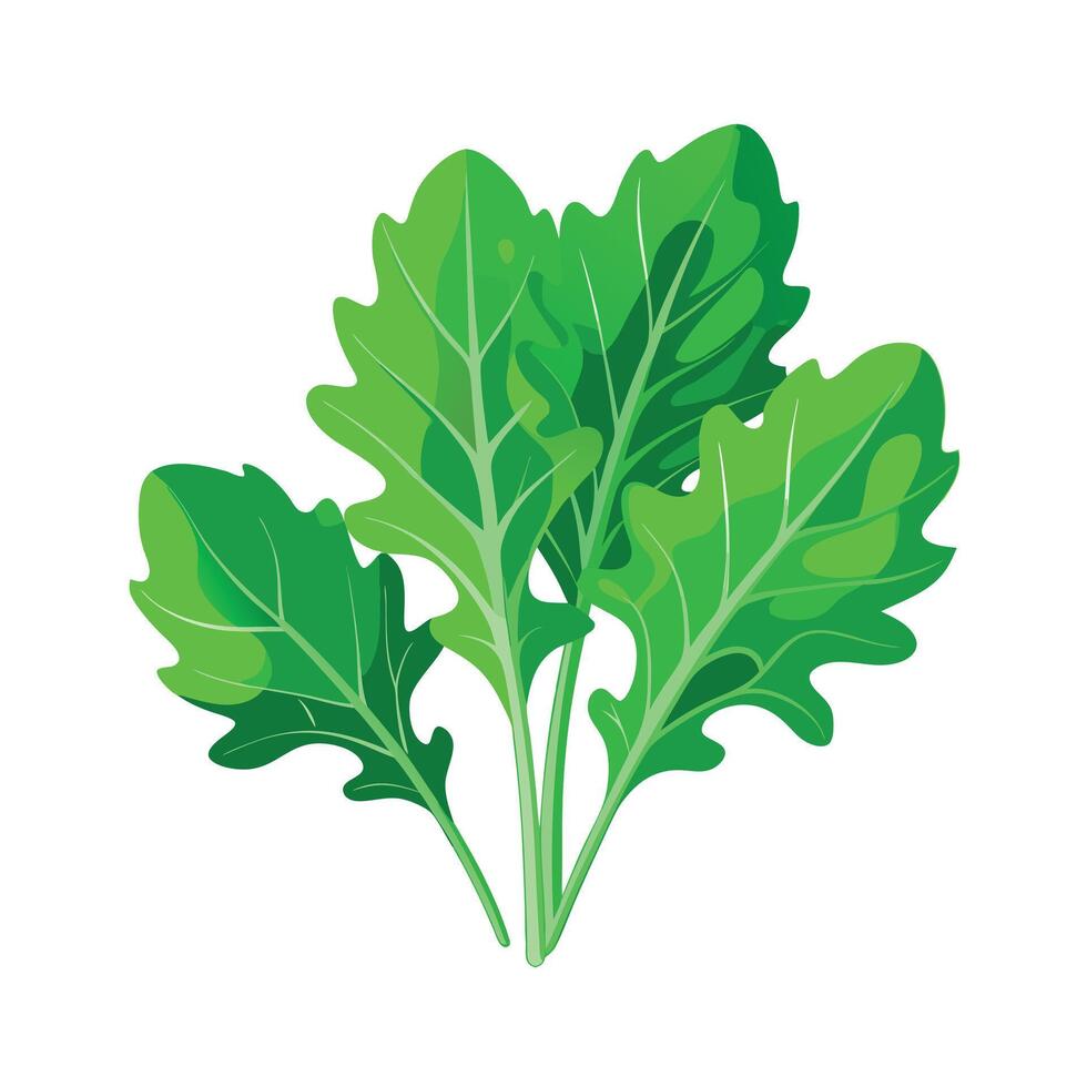 Realistic Beautiful Leaves Illustration vector