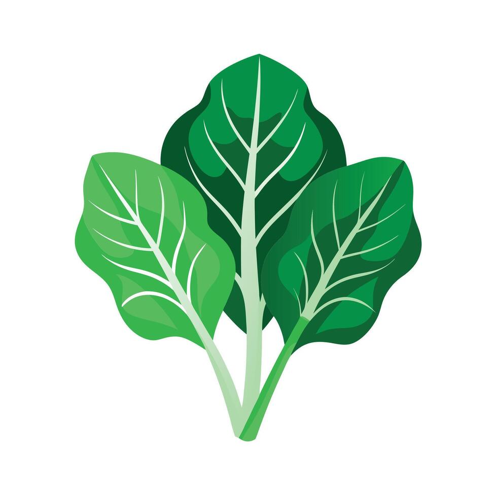 Realistic Beautiful Leaves Illustration vector