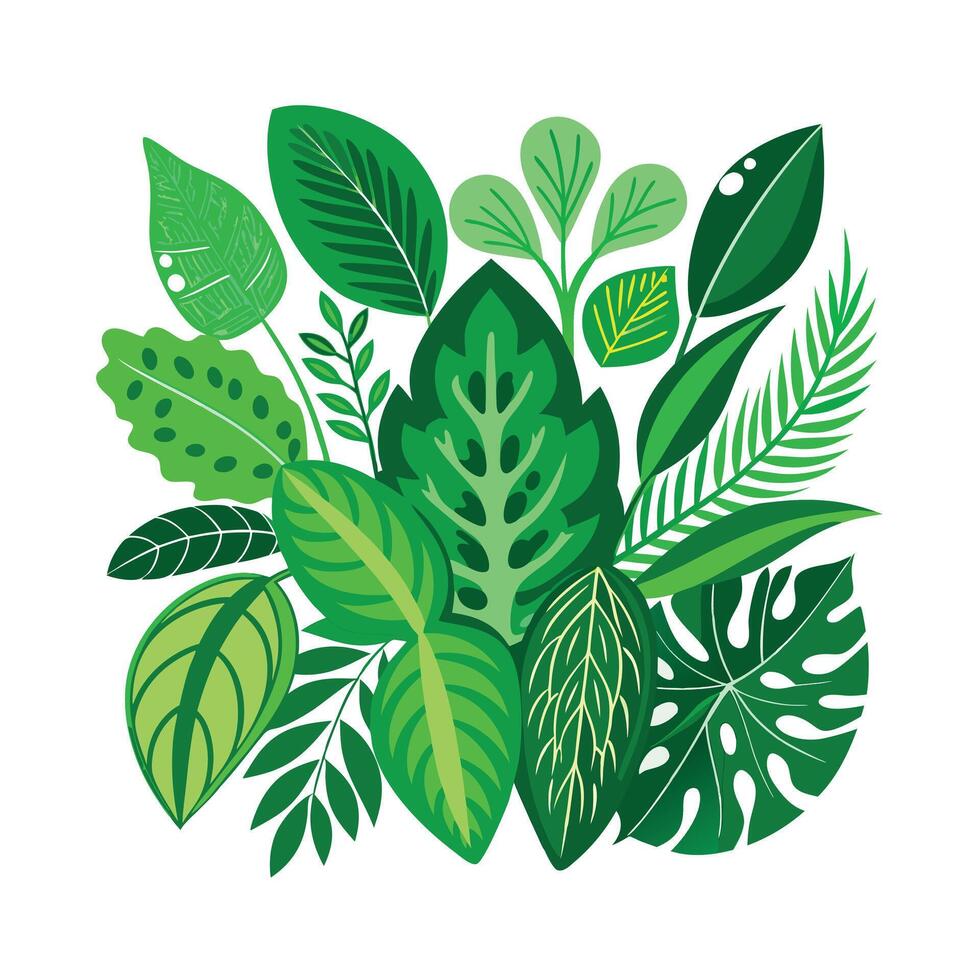 Realistic Beautiful Leaves Illustration vector