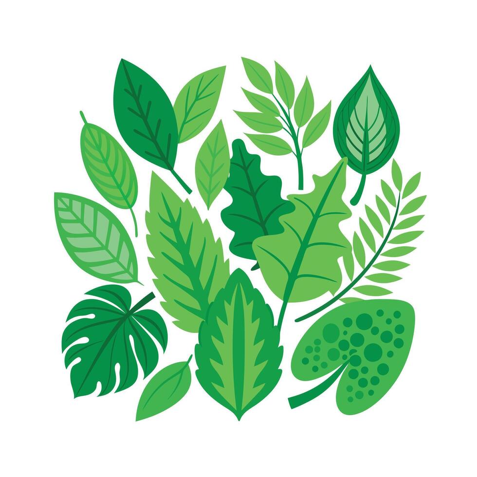Realistic Beautiful Leaves Illustration vector