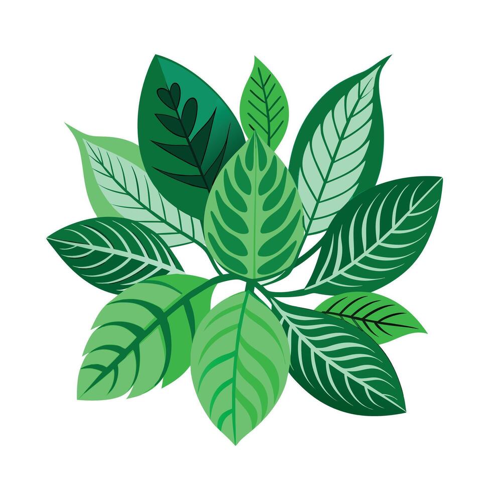 Realistic Beautiful Leaves Illustration vector