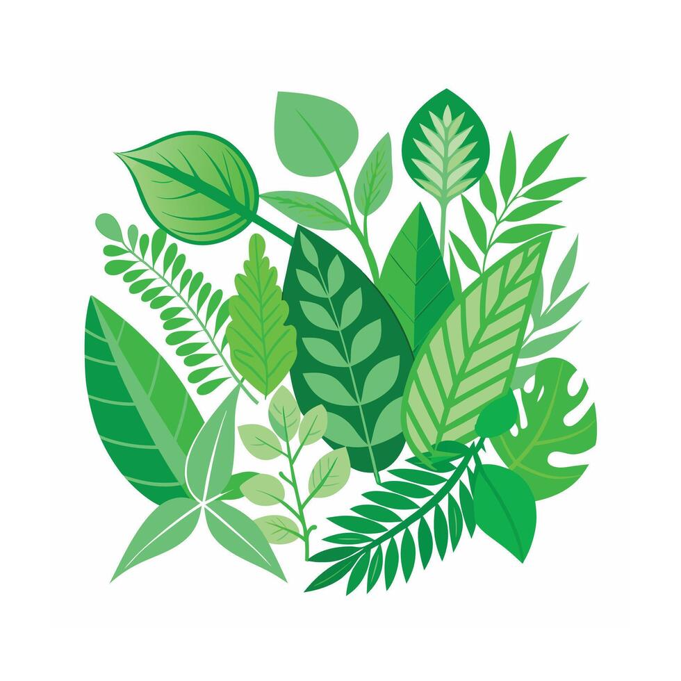 Realistic Beautiful Leaves Illustration vector