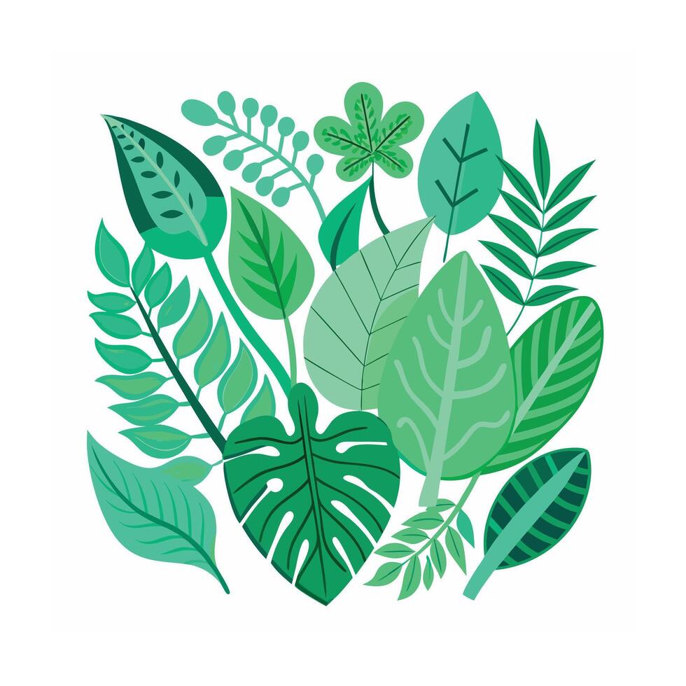 Realistic Beautiful Leaves Illustration vector